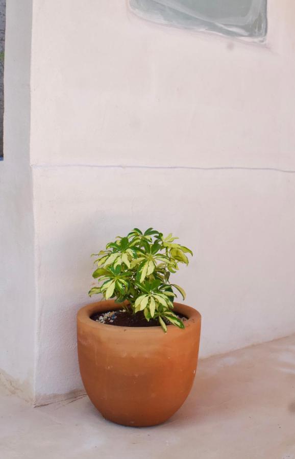 Casa Del Artista - B&B ปลายาเดลการ์เมน ภายนอก รูปภาพ